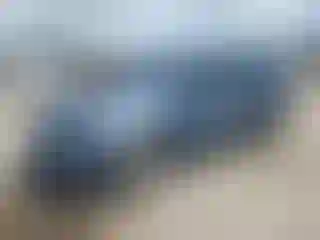 Vehicle Image- 2018 Ford Edge