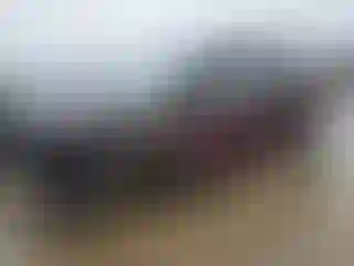 Vehicle Image- 2021 Ford Edge