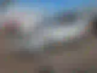 Vehicle Image- 2020 Ford Edge