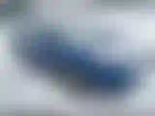Vehicle Image- 2020 Ford Edge