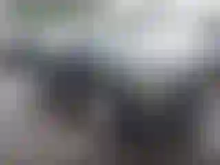 Vehicle Image- 2017 Ford Edge