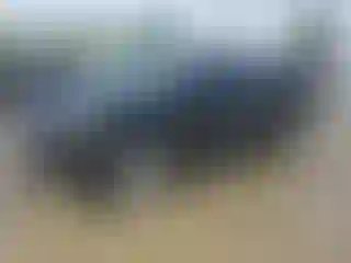Vehicle Image- 2020 Ford Edge