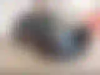 Vehicle Image- 2024 Ford Edge