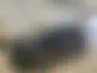 Vehicle Image- 2016 Ford Edge