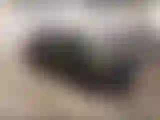 Vehicle Image- 2019 Ford Edge