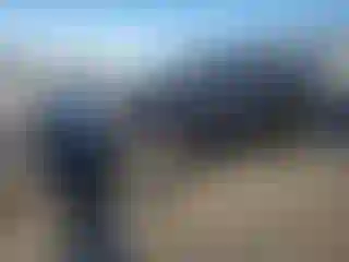 Vehicle Image- 2023 Ford Edge