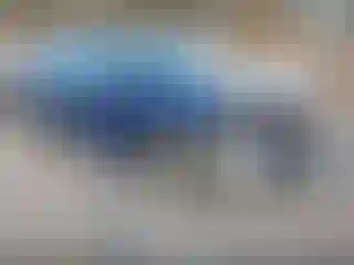 Vehicle Image- 2016 Ford Edge