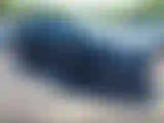 Vehicle Image- 2019 Ford Edge
