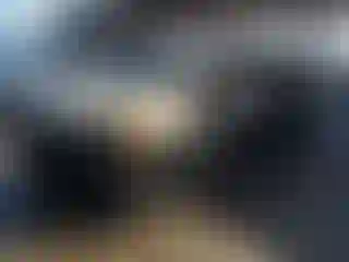 Vehicle Image- 2019 Ford Edge