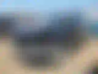 Vehicle Image- 2020 Ford Edge