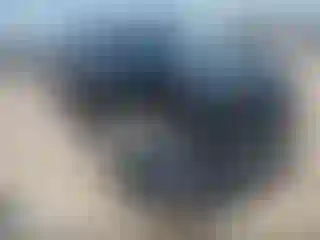 Vehicle Image- 2022 Ford Edge