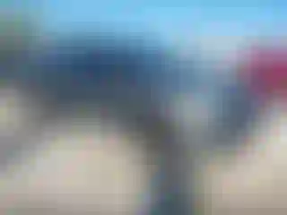 Vehicle Image- 2022 Ford Edge