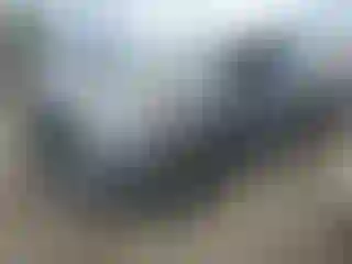 Vehicle Image- 2024 Ford Edge