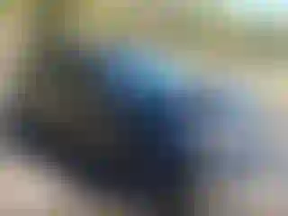 Vehicle Image- 2017 Ford Edge