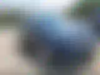 Vehicle Image- 2017 Ford Edge