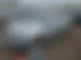 Vehicle Image- 2016 Ford Edge