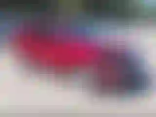 Vehicle Image- 2016 Ford Edge