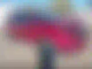 Vehicle Image- 2016 Ford Edge