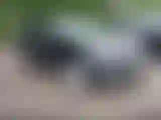 Vehicle Image- 2017 Ford Edge
