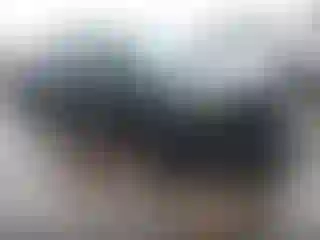 Vehicle Image- 2024 Ford Edge