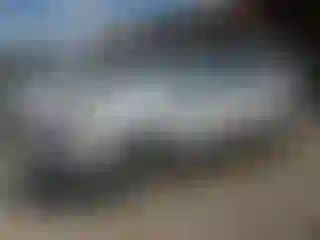 Vehicle Image- 2024 Ford Edge