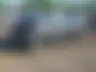 Vehicle Image- 2024 Ford Edge