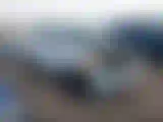 Vehicle Image- 2020 Ford Edge