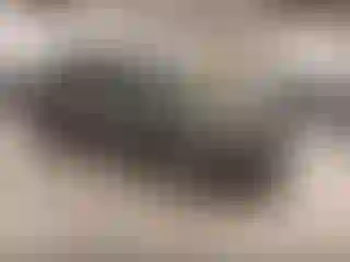 Vehicle Image- 2021 Ford Edge