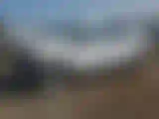 Vehicle Image- 2024 Ford Edge