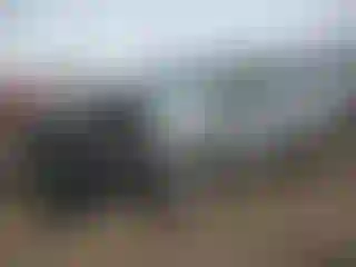 Vehicle Image- 2024 Ford Edge