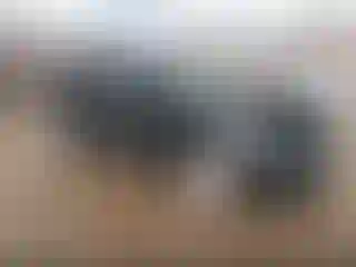 Vehicle Image- 2023 Ford Edge