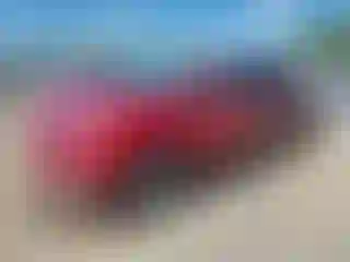 Vehicle Image- 2024 Ford Edge