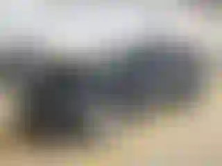 Vehicle Image- 2022 Ford Edge