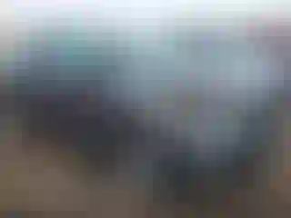 Vehicle Image- 2024 Ford Edge