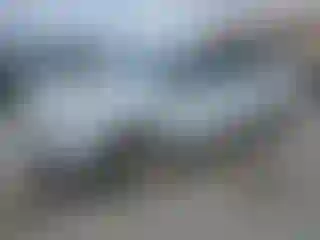 Vehicle Image- 2024 Ford Edge