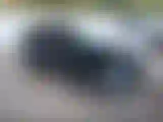 Vehicle Image- 2018 Ford Edge