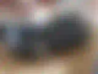Vehicle Image- 2021 Ford Edge