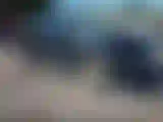 Vehicle Image- 2022 Ford Edge