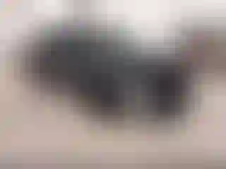 Vehicle Image- 2023 Ford Edge