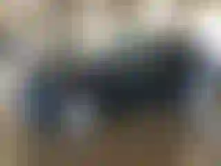 Vehicle Image- 2024 Ford Edge