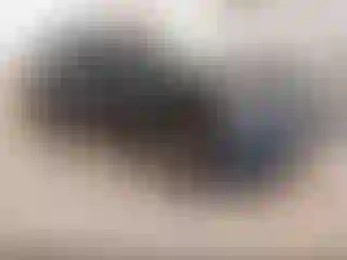 Vehicle Image- 2020 Ford Edge