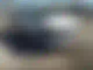 Vehicle Image- 2020 Ford Edge