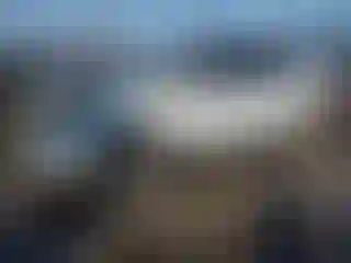Vehicle Image- 2020 Ford Edge