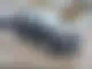 Vehicle Image- 2020 Ford Edge