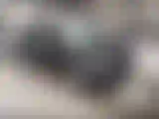 Vehicle Image- 2020 Ford Edge