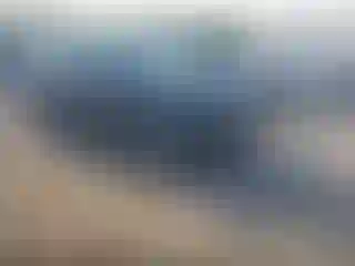 Vehicle Image- 2019 Ford Edge