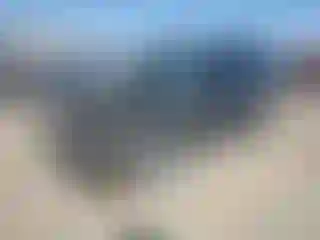 Vehicle Image- 2021 Ford Edge