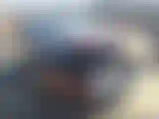 Vehicle Image- 2022 Ford Edge