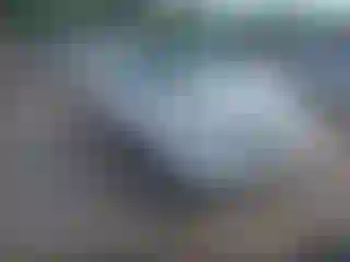 Vehicle Image- 2017 Ford Edge