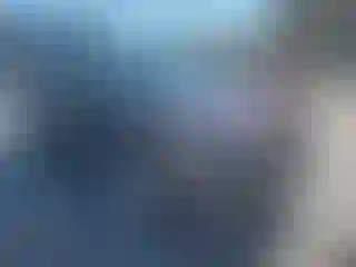 Vehicle Image- 2019 Ford Edge